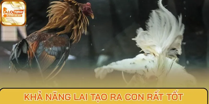 Khả năng lai tạo ra con rất tốt
